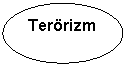 Oval: Terrizm